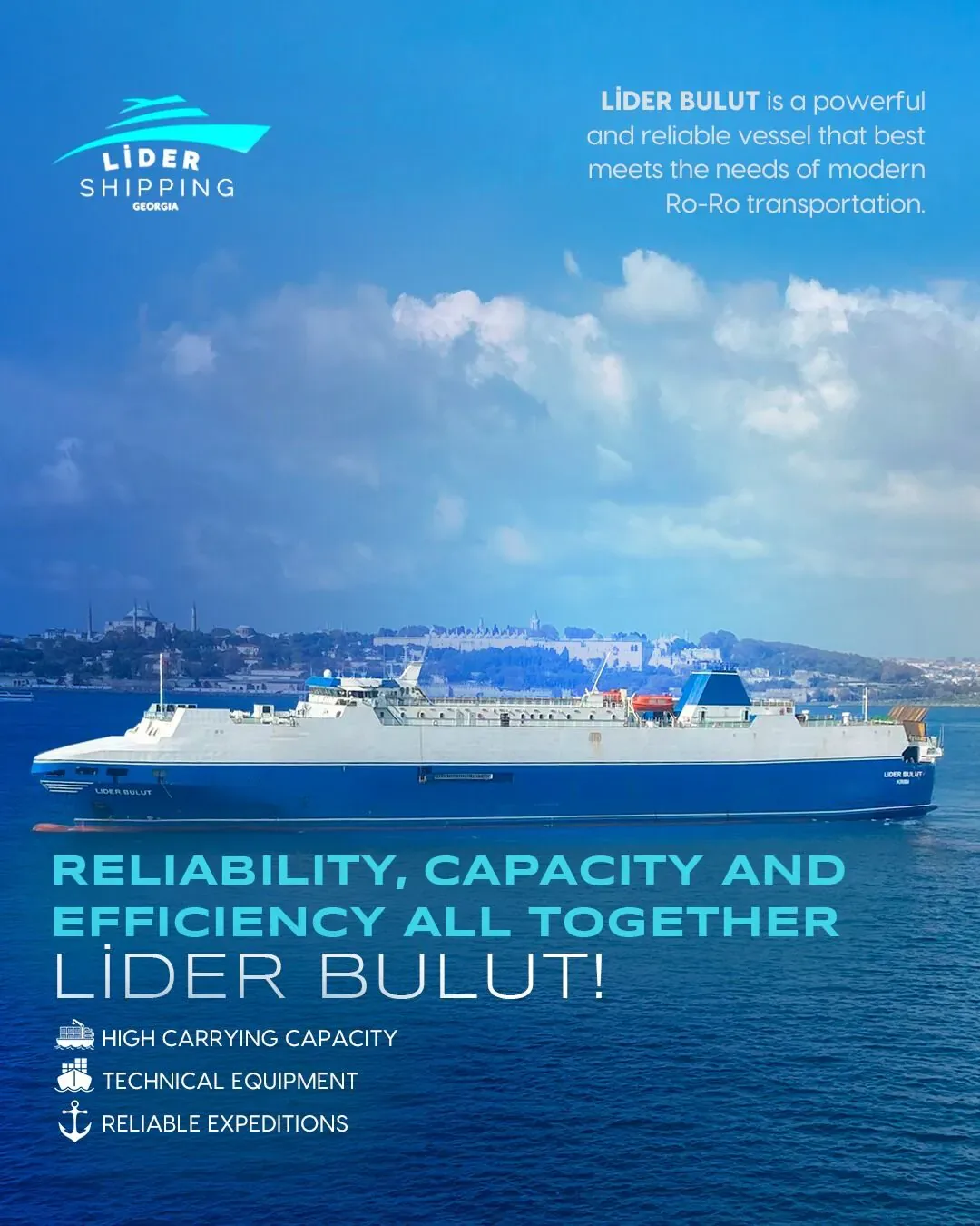 Lider Shipping Georgia Ordu sosyal medya referansı (Post)