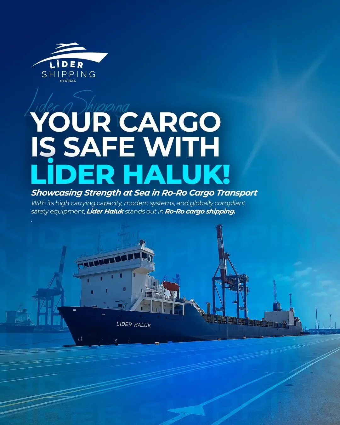Lider Shipping Georgia Ordu sosyal medya referansı (Post)