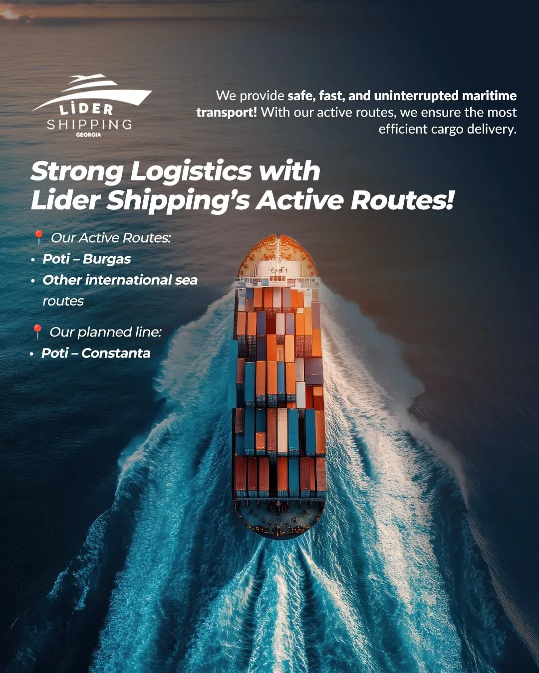 Lider Shipping Georgia Ordu sosyal medya referansı (Post)