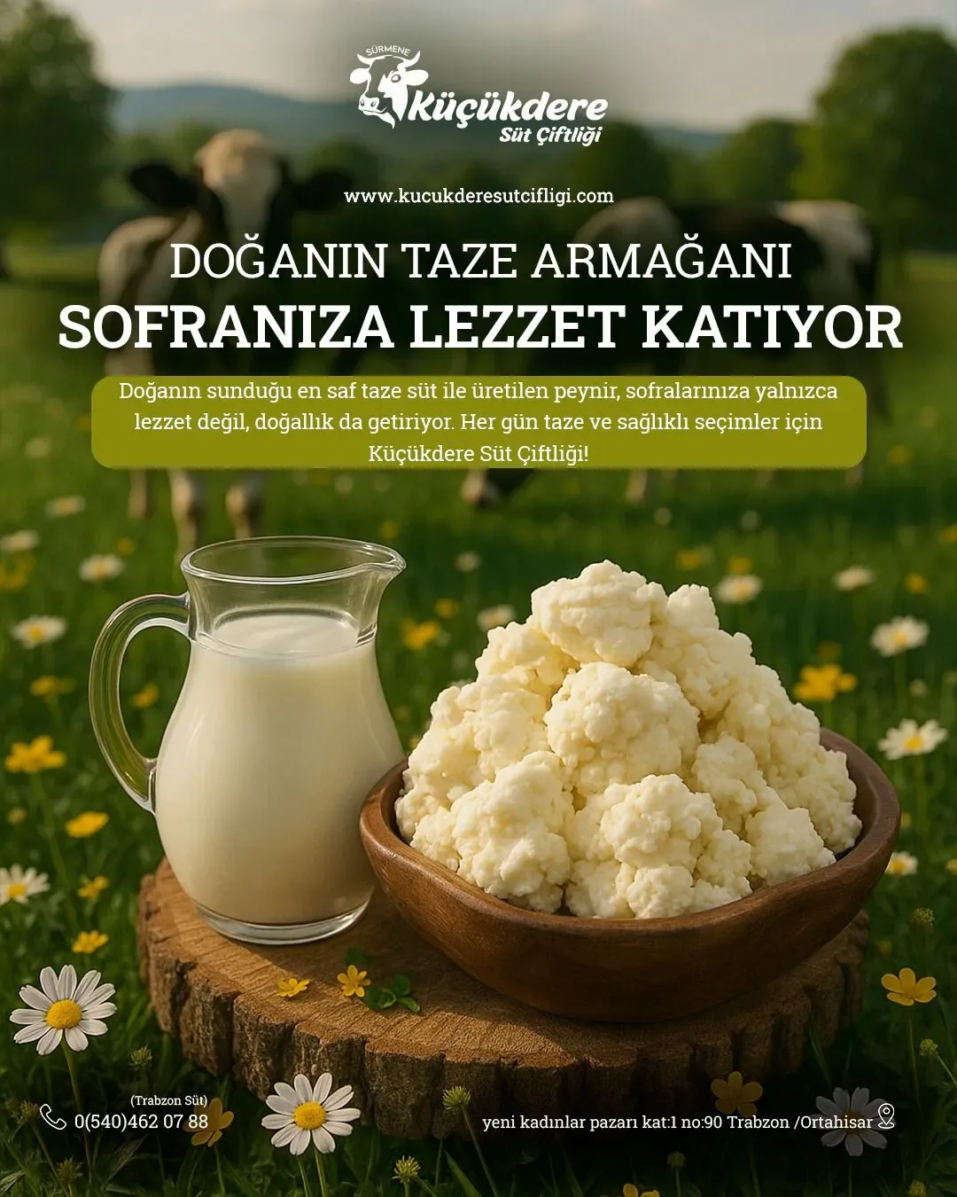Küçükdere Süt Çiftliği Ordu sosyal medya referansı (Post)
